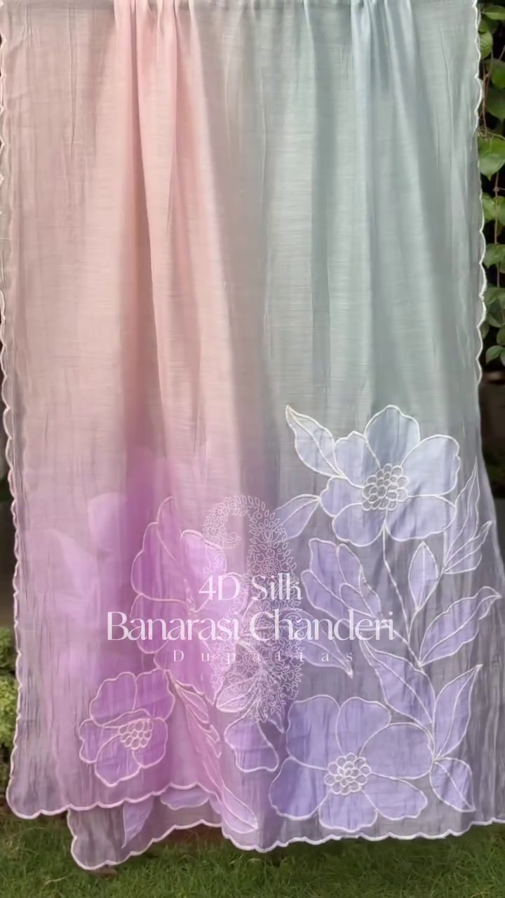 Exquisite Floral Embroidered Organza Saree – Graceful Elegance for Every Occasion