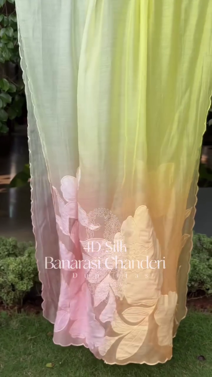 Exquisite Floral Embroidered Organza Saree – Graceful Elegance for Every Occasion