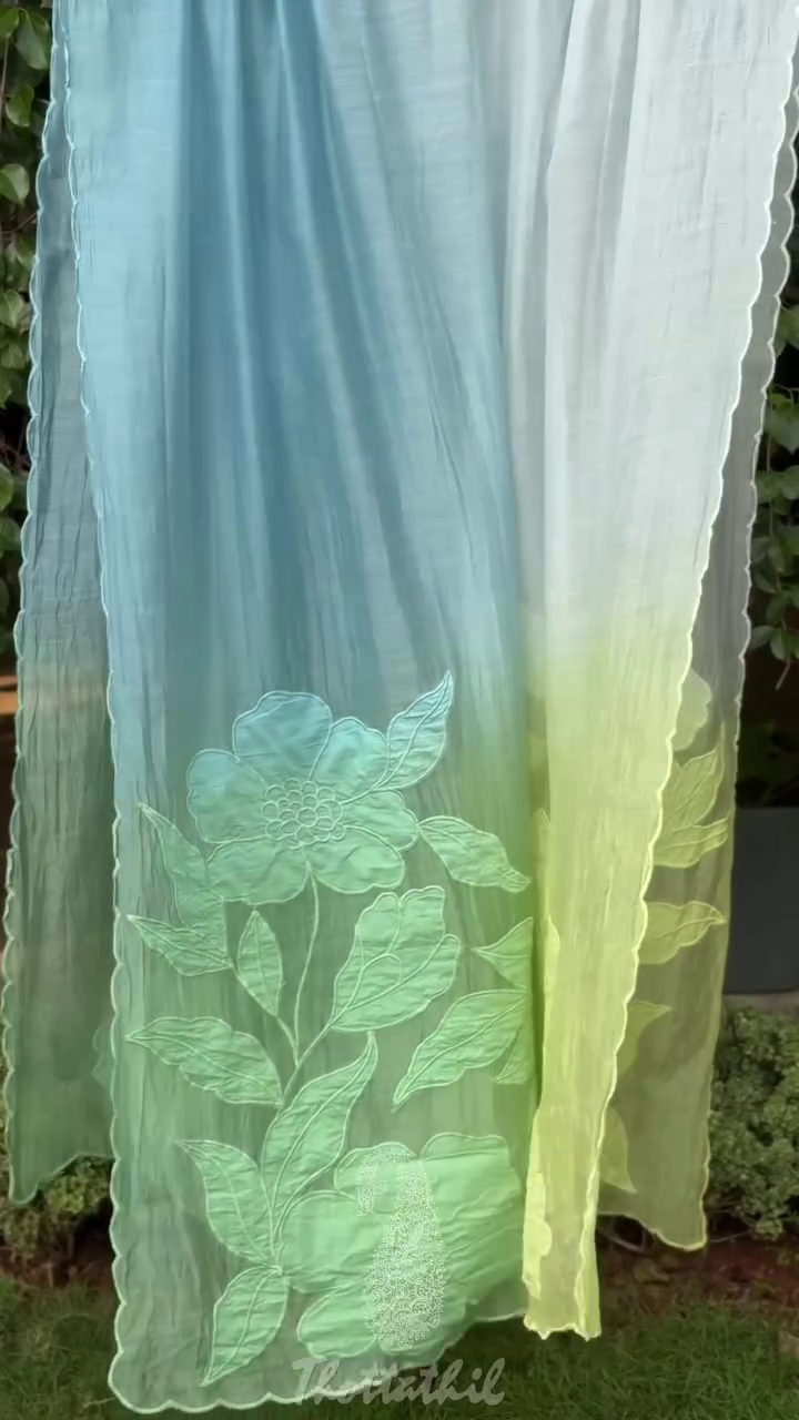 Exquisite Floral Embroidered Organza Saree – Graceful Elegance for Every Occasion